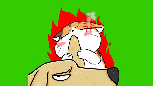 Fiery Kitten Anger Animation - Green Screen