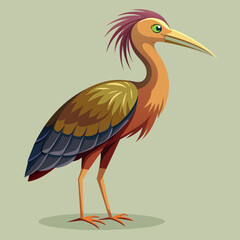 limpkin-bird-side-view-vector-illustration
