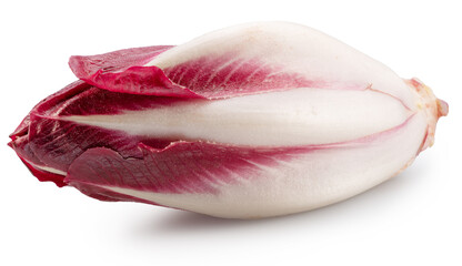 Red endive or italian chicory on white background. File contains clipping path.