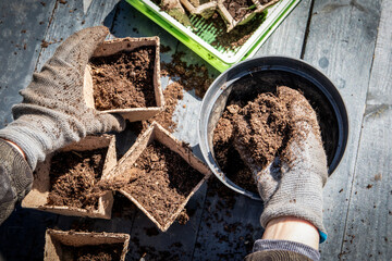 Preparing  pots and soil for seedlings, garden work in spring