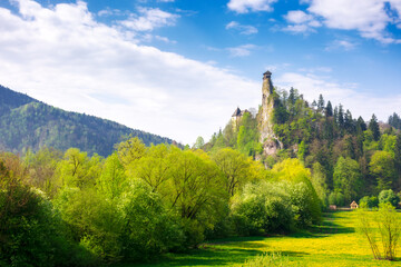 oravsky podzamok, slovakia - MAY 01, 2019: castle tower on the hill. beautiful sunny landscape in springtime. trees in green foliage on the meadow beneath a sky with clouds. popular travel destination