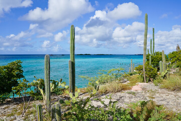 Aruba landscape, Pos Chiquito Beach Park 
