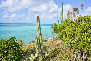 Aruba landscape, Pos Chiquito Beach Park 