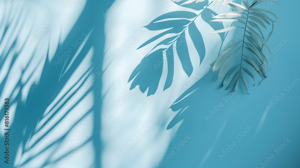Aufkleber minimal abstract light blue background for product presentation shadow of tropical leaves and curtai