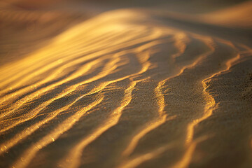 Close-Up View of Golden Sand Patterns at Sunset with Shimmering Highlights