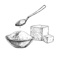 Vector hand-drawn illustration of yeast of different types. A sketch with fresh pressed and dry granulated instant yeast in the style of an engraving.