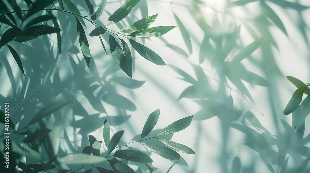 Aufkleber Abstract shadow sun glare from glass and leaves empty background composition for product presentation Beautiful trendy background : Generative AI