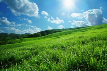 Fototapeta premium Mountain Grass. Idyllic Summer Landscape with Green Meadow and Blue Skies