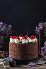Chocolate cake adorned with whipped cream and cherries, surrounded by purple lilac flowers.