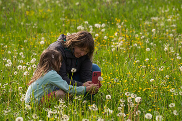 A young grandmother spends time with her granddaughter in nature. A girl holds a dandelion in her...