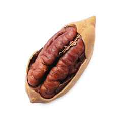 Tasty pecan nut with shell isolated on white, top view