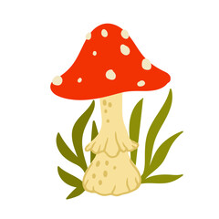 Colorful fly agaric mushroom with forest plants, leaves, grass.Vector graphics.