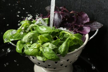 Washing different fresh basil leaves under tap water in metal colander in sink, closeup