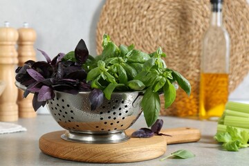Metal colander with different fresh basil leaves on grey countertop