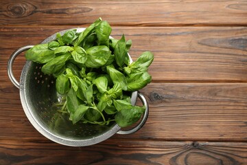 Metal colander with fresh basil leaves on wooden table, top view. Space for text