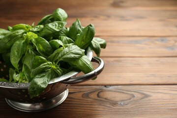 Metal colander with fresh basil leaves on wooden table, closeup. Space for text