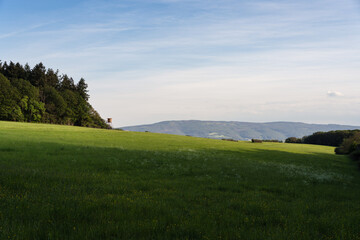 Naturschutzgebiet Engweger Kopf, Lorch