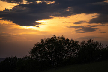 Fototapeta premium Naturschutzgebiet Engweger Kopf, Lorch