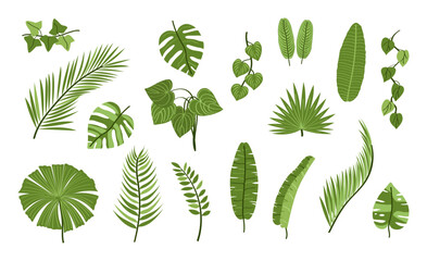 Summer collection of hand drawn green tropical leaves. Set of exotic plant elements