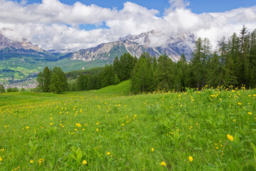 Alpine scenes of the Dolomite mountains Italy. With lush green pastures and snow topped mountain...