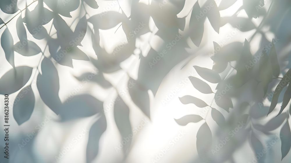 Poster abstract shadow sun glare from glass and leaves empty background composition for product presentatio