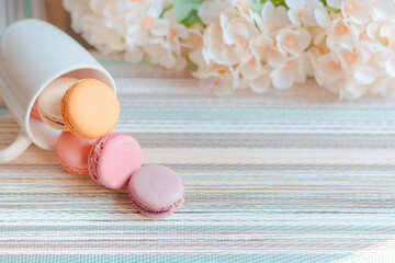 Macaron, typical French sweet, homemade macaron in different flavors and colors.
