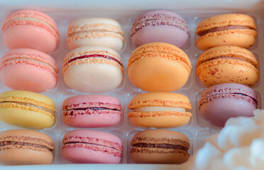 Macaron, typical French sweet, homemade macaron in different flavors and colors.