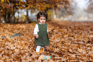 Adorable child standing, picking leaves, surrounded by seasonal beauty