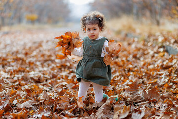 Among autumn s leaves. Cute astonished little girl holding leaves, surrounded by the season s...