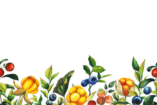 Watercolor seamless border with hand drawn cowberry, cloudberry and blueberry with berries, leaves, branches. Botanical forest berry illustration on white isolated background for textile, banner