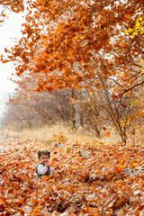 Child's joy in autumn playing among colorful leaves on a serene fall day
