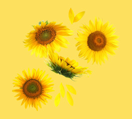 Bright sunflowers in air on golden background