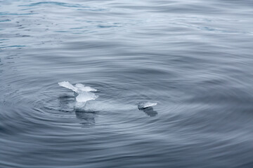A Bergy Bit of Ice Broken from an Iceberg Floating in Concentric Circles of Smooth Dark Blue Water, The Gullet, Antarctica