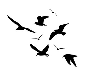 Flying seagulls silhouette. hand drawing. Not AI, Vector illustration