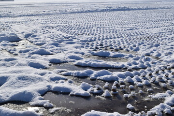 雪国の田園風景 山形県庄内