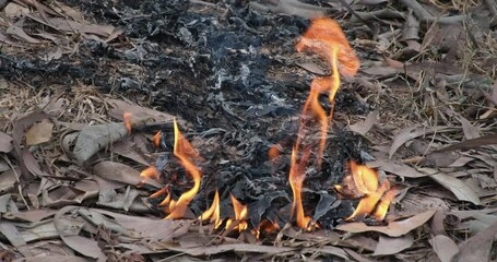 A fire starts in the forest White thick smoke from the ignition of dry straw. The fire started due to careless handling of the fire.