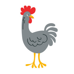 Colorful rooster in flat style isolated on white background.Vector illustration of poultry farming in doodle style. Farming and poultry farm
