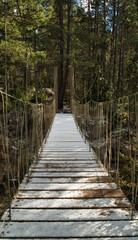 A beautiful wooden suspension bridge covered with snow. Vertical photography