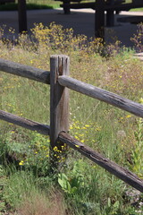 Fototapeta premium wooden fence post