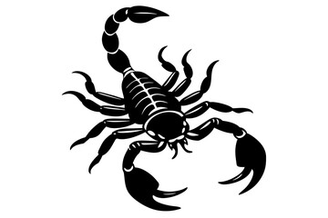 scorpion line art silhouette illustration