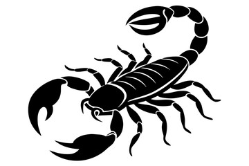 scorpion line art silhouette illustration