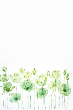 A wide frame of green lotus arranged in a row, watercolor, in the style of nature-inspired abstractions