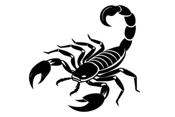 scorpion line art silhouette illustration