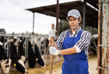 Adult male farmer posing against backdrop of feeding cows on dairy farm