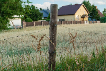 Wooden fence post in front of a tall grass field with houses in the distance