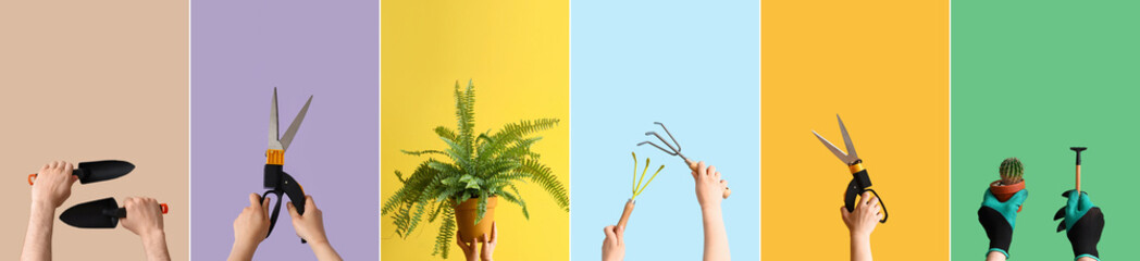 Set of hands holding gardening tools and plants on color background