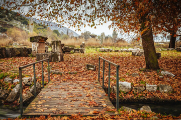 Ancient ruins bridge covered in autumn leaves