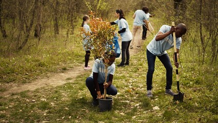 African american ecologic activists planting seedlings in a forest environment, working together in...
