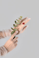 Hands of young woman in gloves with ring and eucalyptus on white background