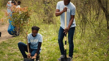 African american volunteers team digging holes and planting trees in a forest, doing litter cleanup...